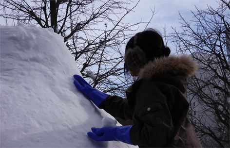 1. Design a sculpture & bank snow up!